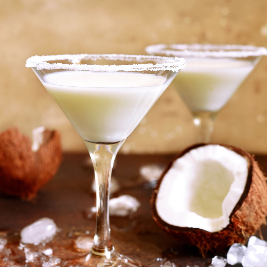 Coconut Natural Fruit Puree 16oz - FriendlyFruits